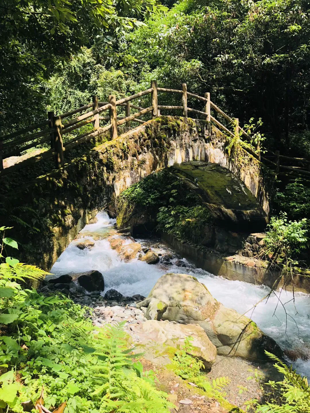 虫虫助手下载